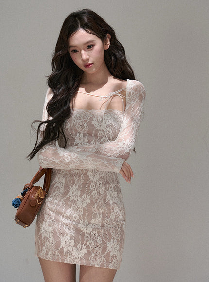 Sheer Ribbon Lace Slim Dress - White