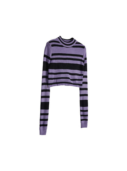 Violet Stripe Crop Knit