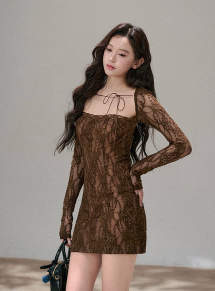 Sheer Ribbon Lace Slim Dress - Brown